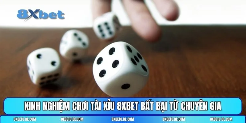 Tài xỉu 8XBET